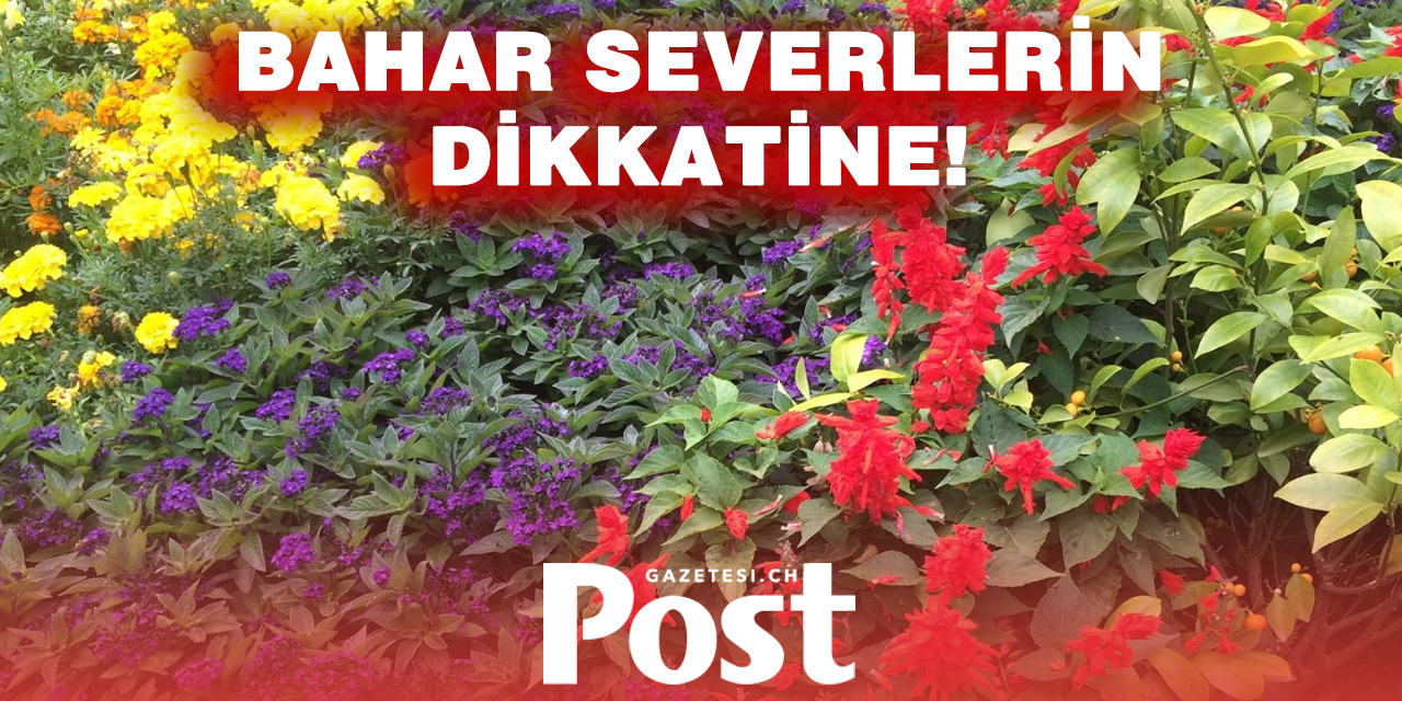 Bahar Havası Geliyor! Sıcaklıklar 20 Dereceyi Zorlayacak