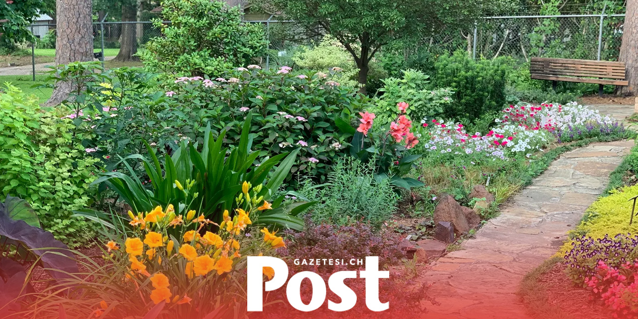 İsviçre'de yasak olan kiraz defnesi Almanya'da da yasak mı?