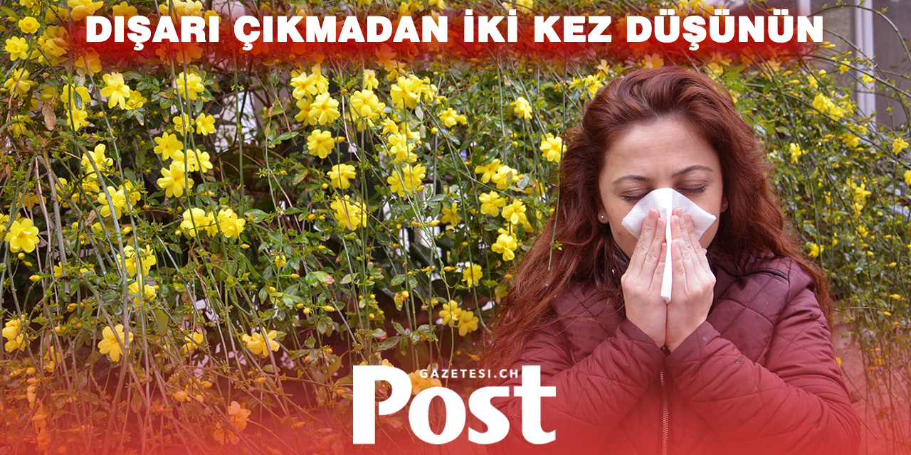Bern’de polen alarmı: Alerjisi olanlar dikkat!