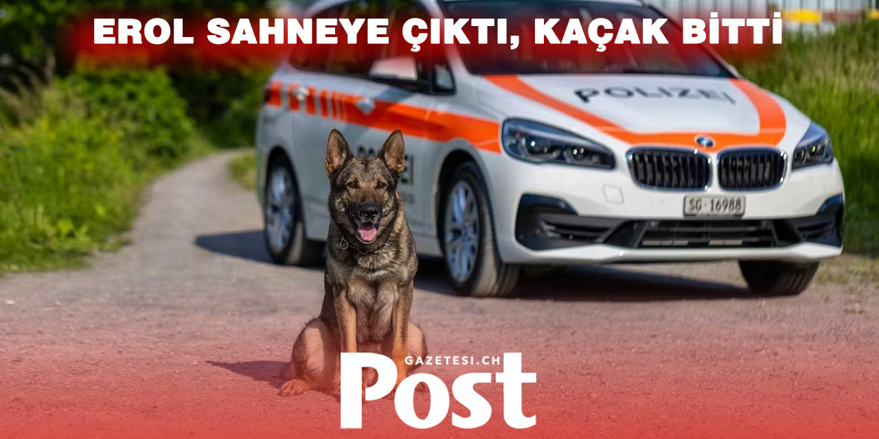 Polis köpeği Erol sahnede: Oto hırsızını böyle yakaladı