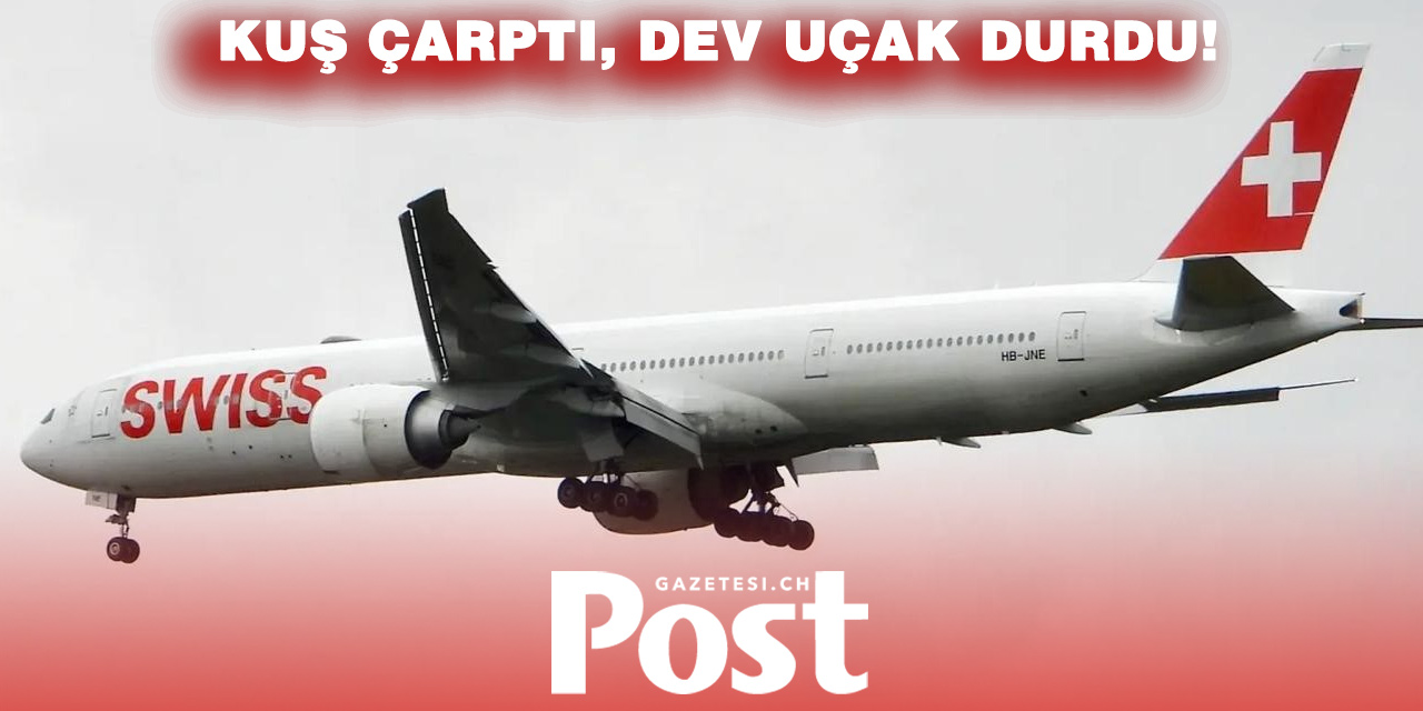 GÖKYÜZÜNDE ŞOK! İSVİÇRE UÇAĞINA KUŞ ÇARPTI, SEFERLER İPTAL EDİLDİ
