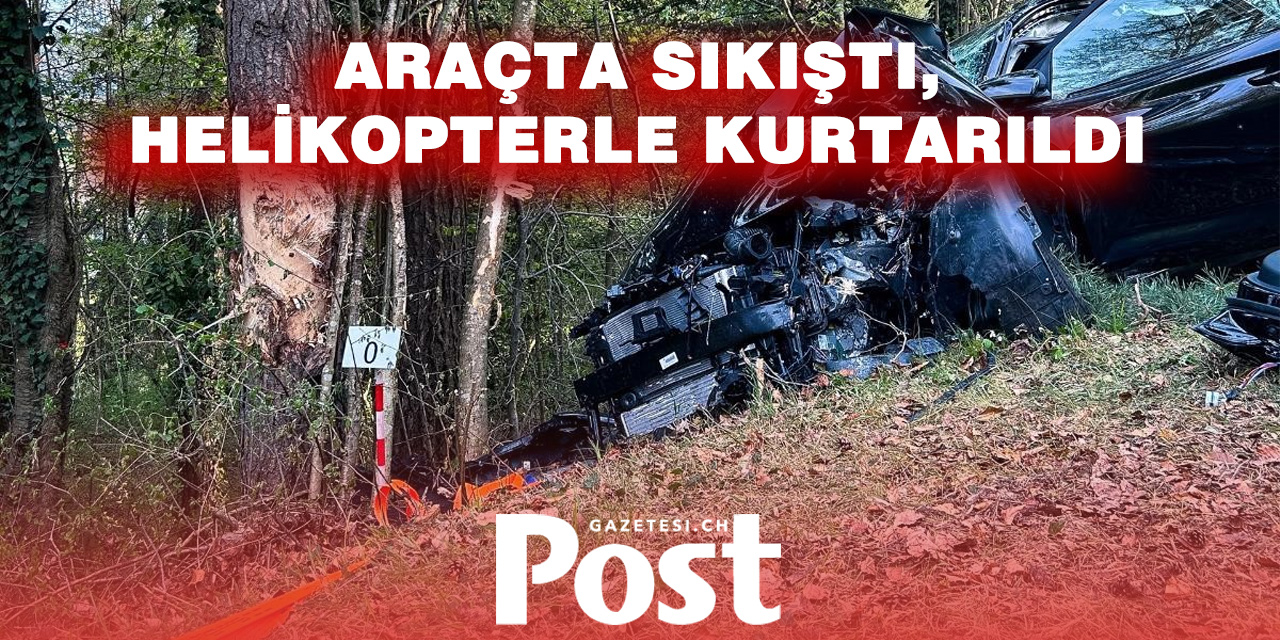 ORMANDA KORKUNÇ KAZA: AĞACA ÇARPAN SÜRÜCÜ AĞIR YARALANDI