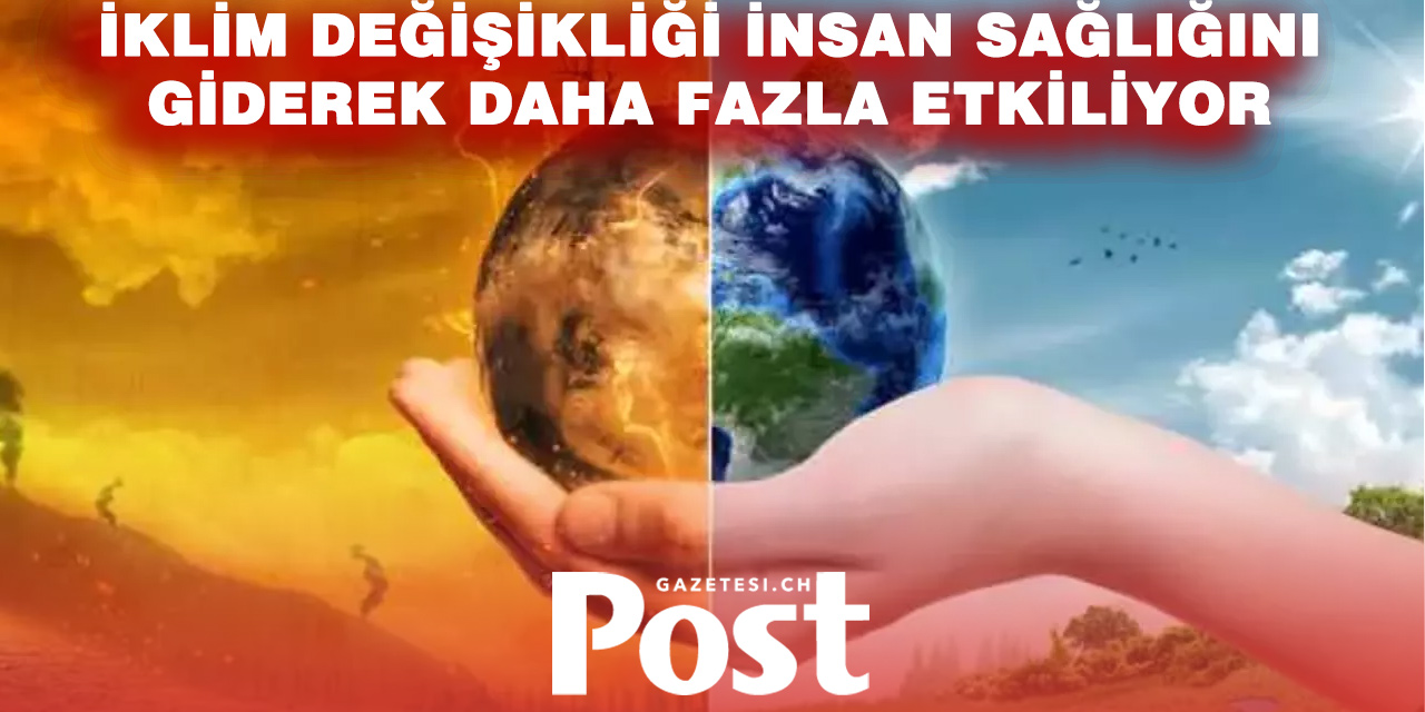 İklim Krizi Sağlığı Tehdit Ediyor: Avrupa’da Sıcağa Bağlı Ölümler Alarm Veriyor