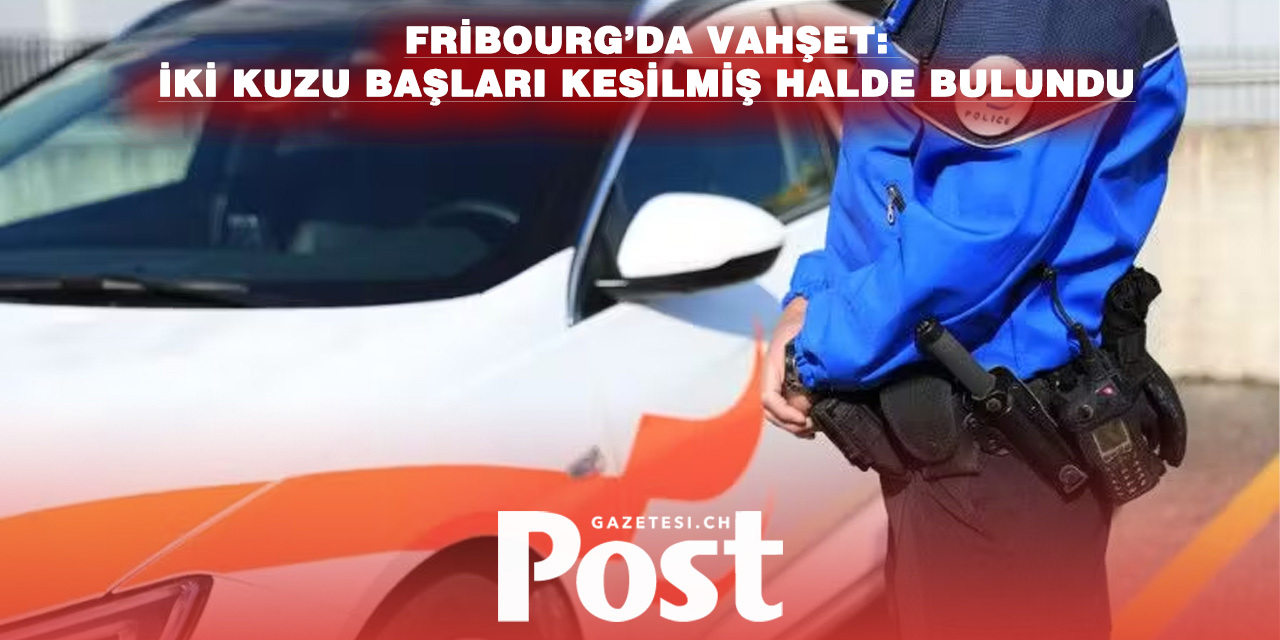 Fribourg’da kan donduran olay: Çiftlikte iki kuzu vahşice katledildi