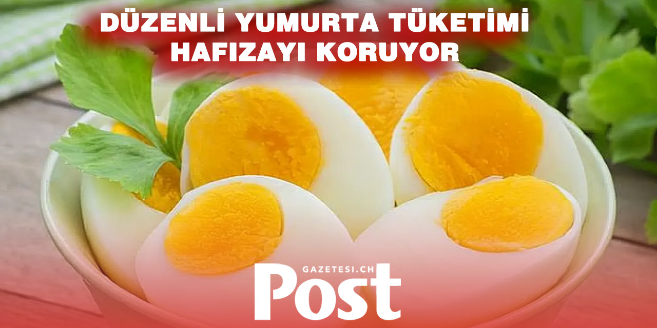 Her gün yumurta yiyenlerde Alzheimer riski daha düşük