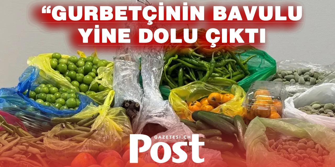 Almanya’da Türkiye’den gelen çiftin bagajından 60 kilo meyve ve sebze çıktı