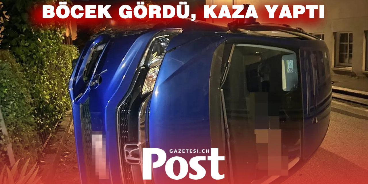 Böcek Paniği Kazaya Yol Açtı: 80 Yaşındaki Sürücü Şans Eseri Kurtuldu