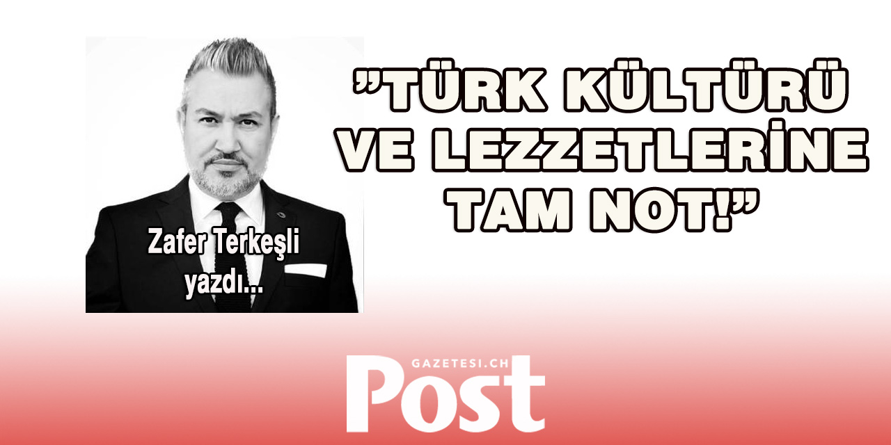 Zafer Terkeşli yazdı: Cahile Söz Anlatmak, Deveye Hendek Atlatmaktan Güçtür