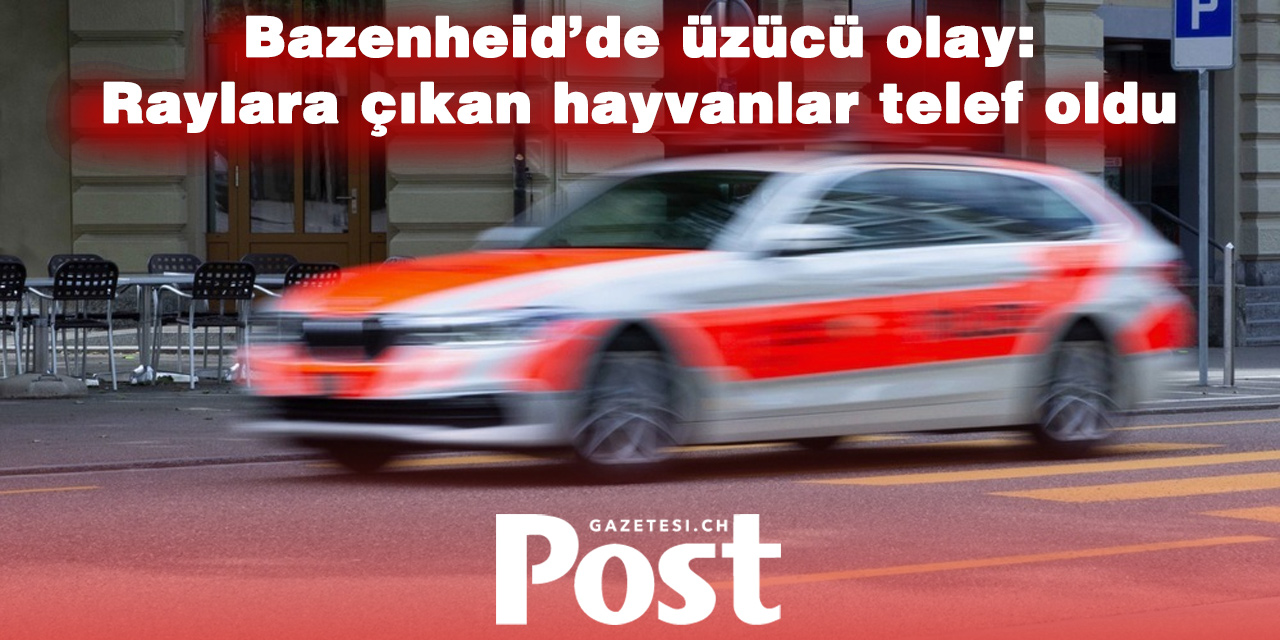 St. Gallen’de tren kazası: Beş büyükbaş hayvan öldü