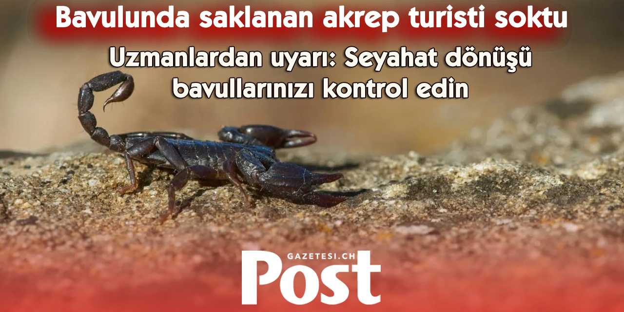 Valaisli turist bavulundan çıkan akrep tarafından sokuldu