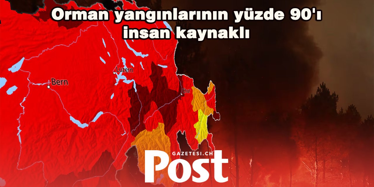 Uzmandan 1 Ağustos uyarısı: Tek bir havai fişek bile ormanı küle çevirebilir