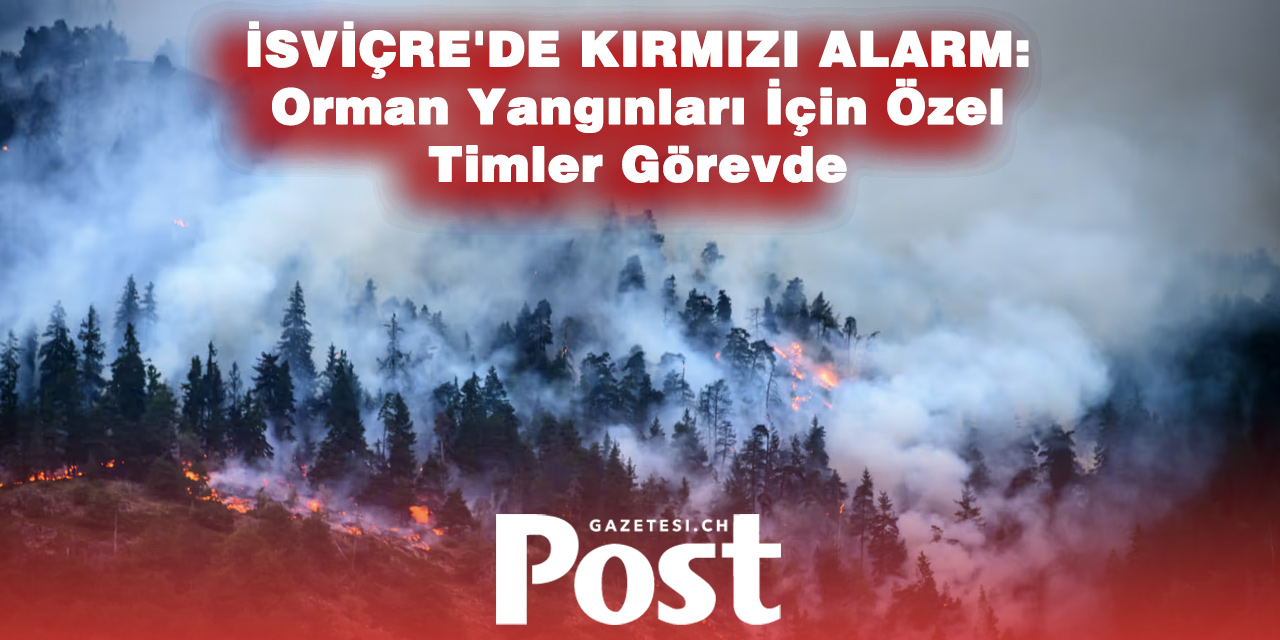 İsviçre’de Orman Yangını Alarmı: İlk Kantonlar Özel Müdahale Ekipleri Kuruyor
