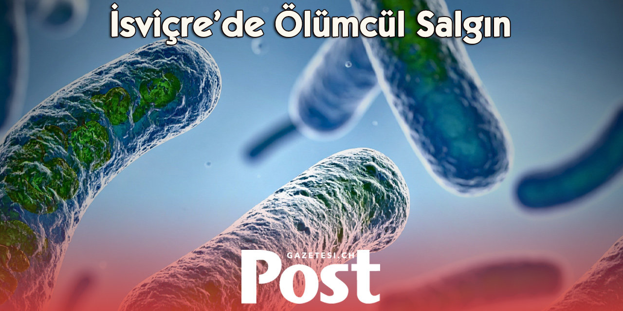 Basel’de ölümcül Legionella alarmı