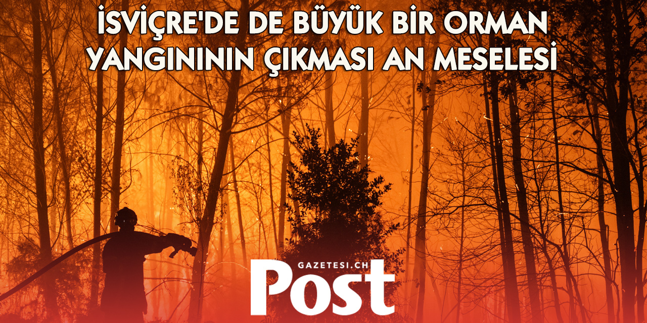 İsviçre’ye Kritik Uyarı: “Büyük Orman Yangını Kaçınılmaz”