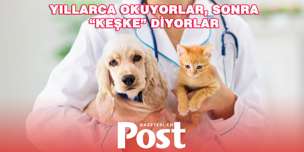 Hayalini Kurdukları Meslek Pişmanlığa mı Dönüşüyor?