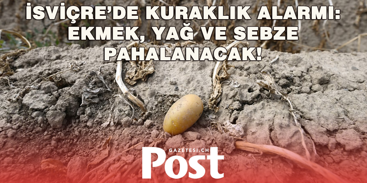 Kuraklık vurdu: Gıda fiyatları gelecek yıl fırlayacak