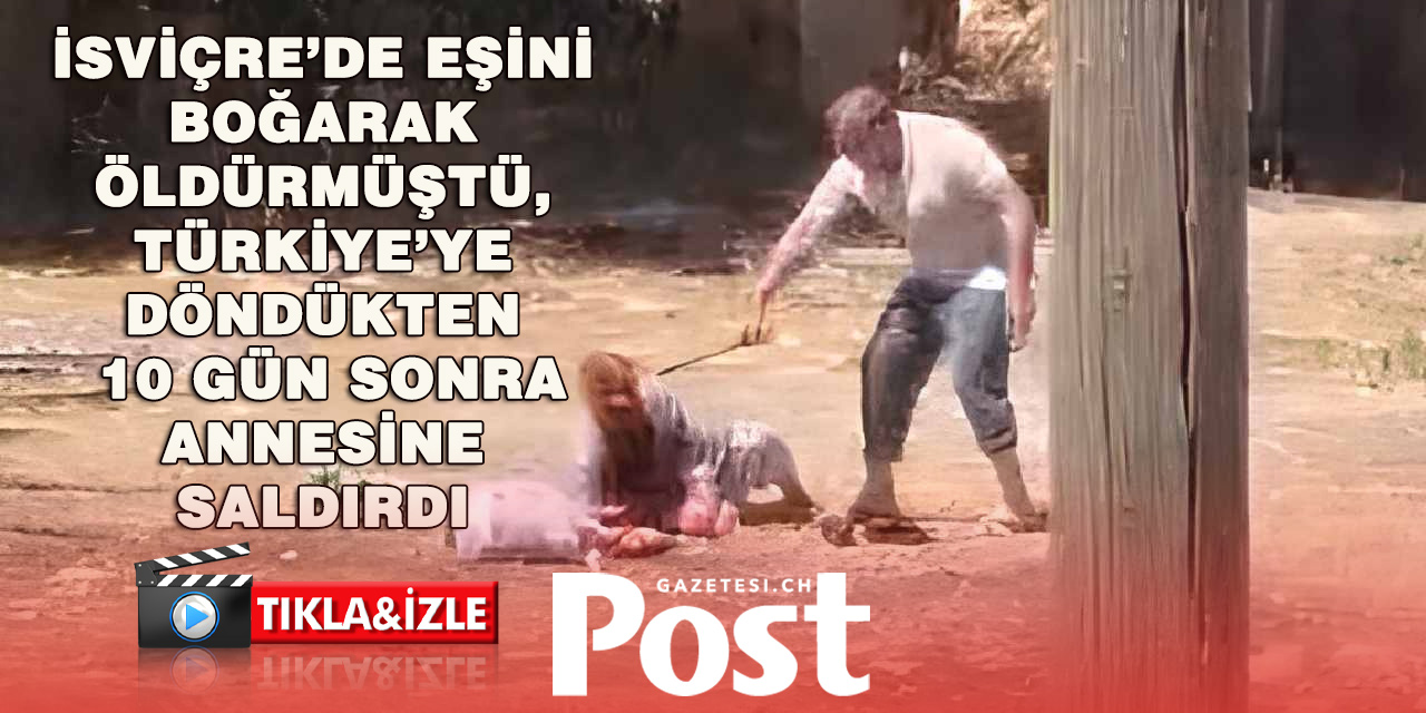 İsviçre’de 15 Yıl Hapis Yattı, Türkiye’de 85 Yaşındaki Annesini Dövdü