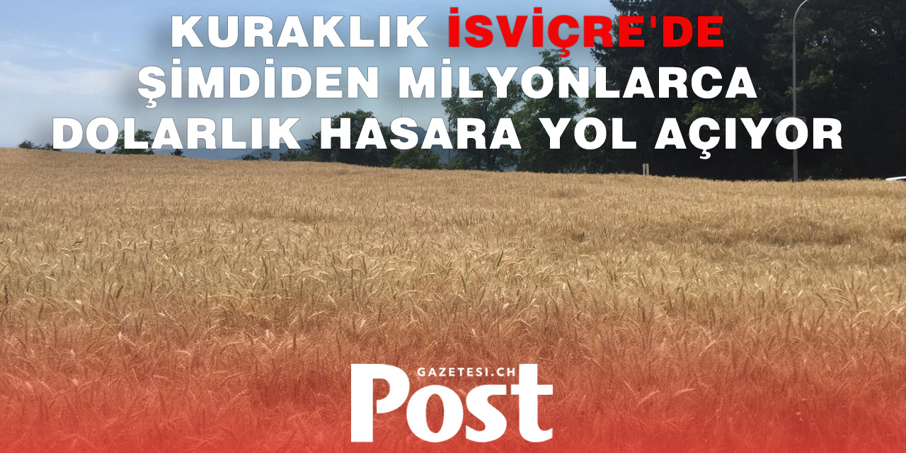 Kuraklık İsviçre Tarımını Vurdu: Zarar Şimdiden 19 Milyon Frank