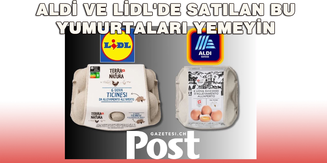 İsviçre’de Yumurta Alarmı: Aldi ve Lidl’den Salmonella Nedeniyle Geri Çağırma