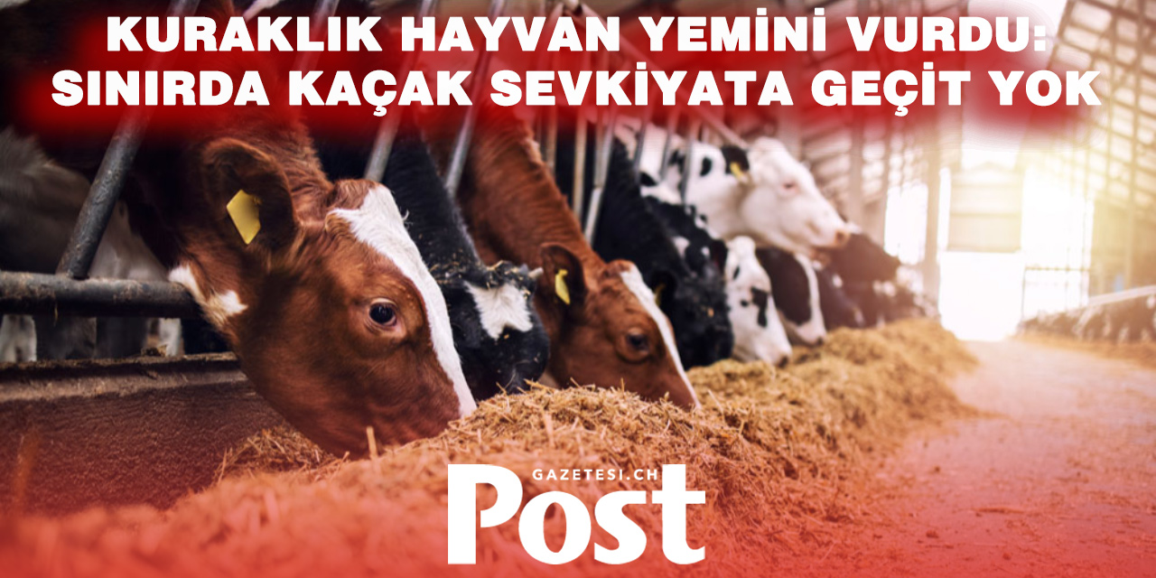 Kuraklık İsviçre’de Hayvan Yemi Sıkıntısını Büyüttü: Fransa Sınırda Kontrolleri Artırdı