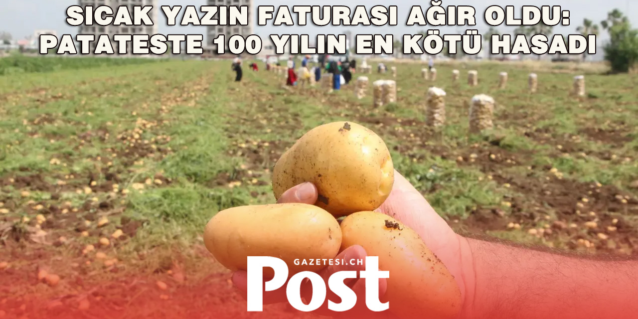 İsviçre’de Patates Hasadı Tarihi Dibe Vurdu