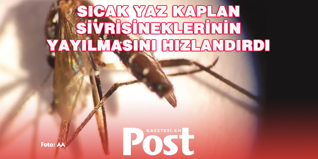 Cenevre’de Kaplan Sivrisineği Hızla Yayılıyor