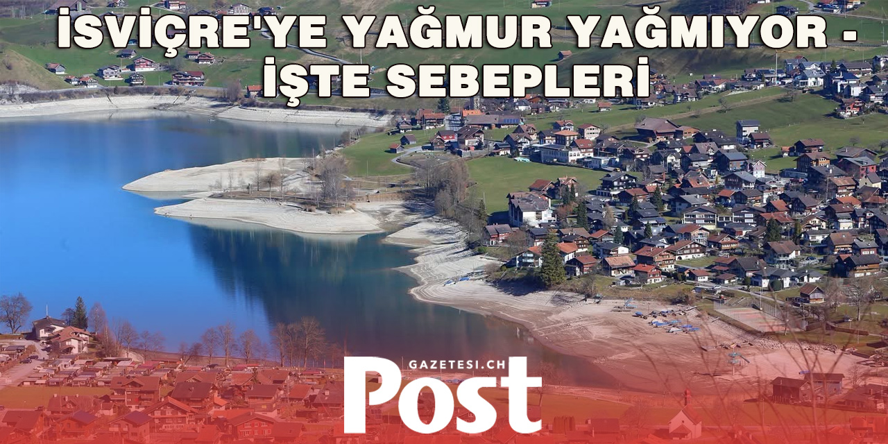 İsviçre yağmura hasret: Ren çekildi, ağaçlar kurumaya başladı