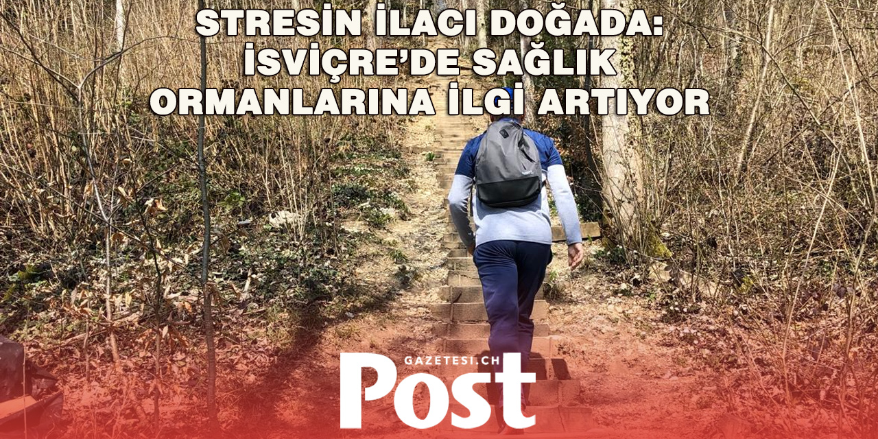 İsviçre’de “Sağlık Ormanları” Stresle Mücadelede Yeni Bir Kapı Açıyor