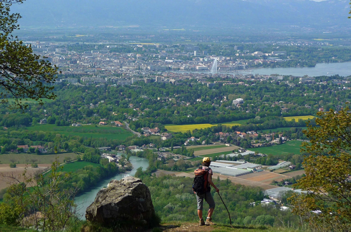 mont-salev.webp