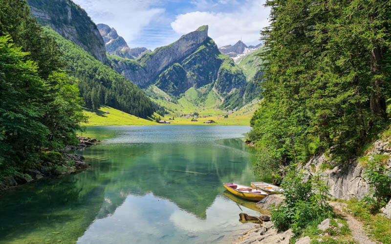 seealpsee.jpg