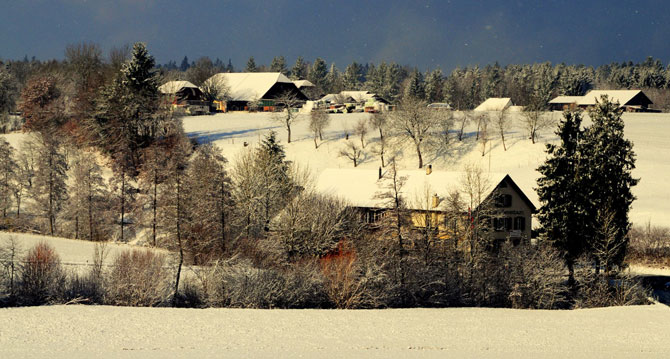 gulkocher1.jpg