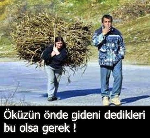 okuzondegiden.jpg